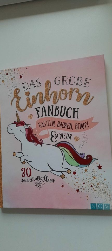 Das große Einhorn Fanbuch Basteln Backen Beauty in Münchweiler an der Rodalb