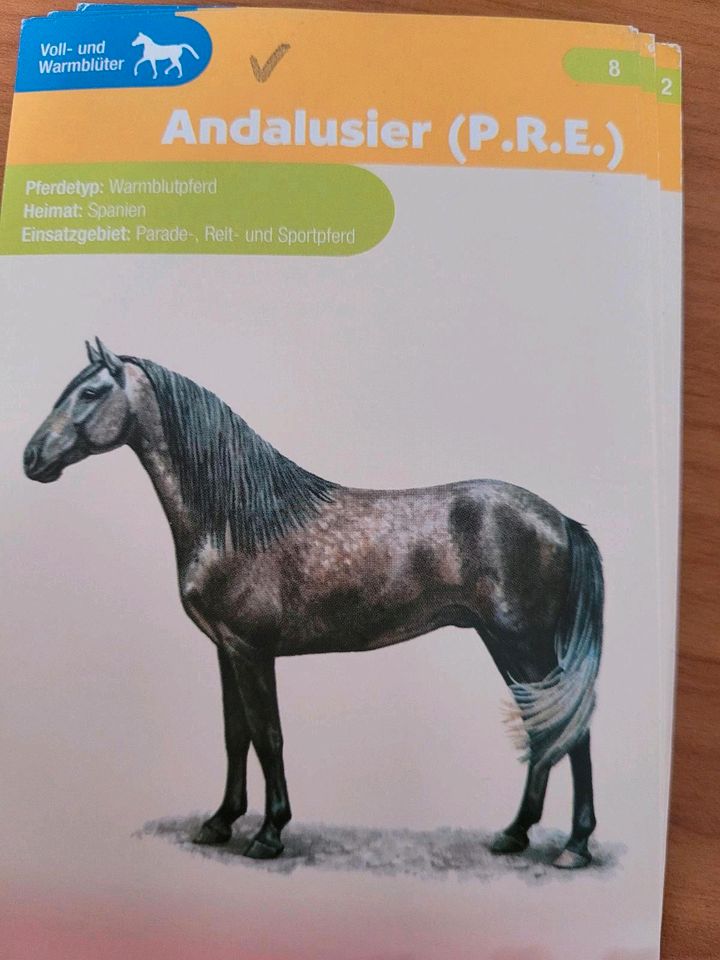 Sammlung Pferd - Pferdefreunde, Spiegelburg etc. in Großpösna