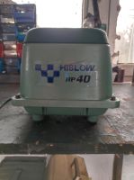 Hiblow.   HP 40 Rheinland-Pfalz - Niederotterbach Vorschau