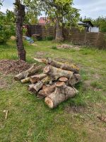 Walnuss Holz Brandenburg - Bernau Vorschau