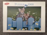 Kätzchen 1000 Teile Puzzle Nordrhein-Westfalen - Moers Vorschau