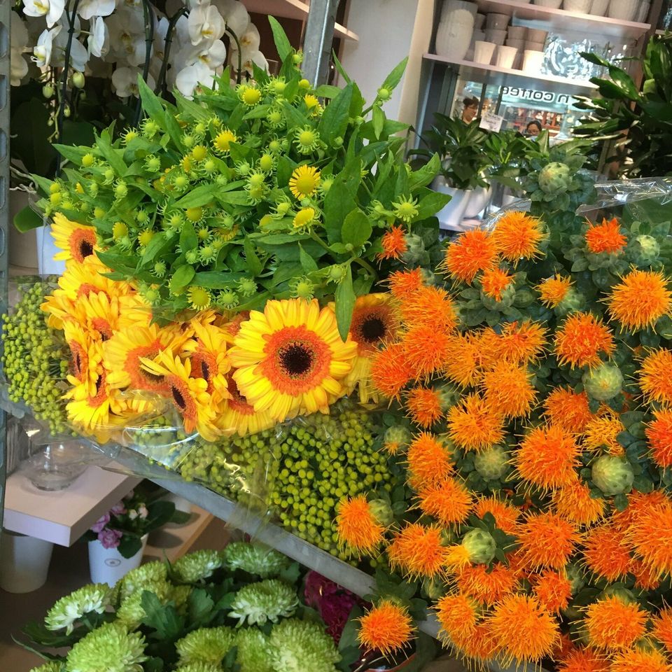 Hilfe im Blumengeschäft in Leipzig