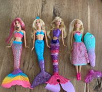 4 Meerjungfrauen Barbie sehr guter Zustand Schleswig-Holstein - Barsbüttel Vorschau