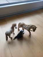 Schleich Pferd Berner Sennenhund Nürnberg (Mittelfr) - Mitte Vorschau