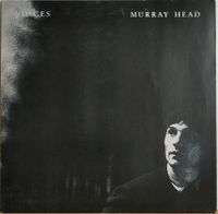 LP Murray Head: Voices (1980) Münster (Westfalen) - Angelmodde Vorschau