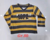 Baby Pulli Sweatshirt Gr.80 Baden-Württemberg - Offenburg Vorschau