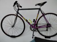 Bottecchia Columbus Rennrad Aachen - Aachen-Haaren Vorschau