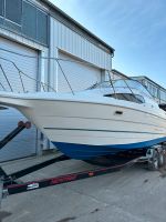 Bayliner 2655 1996 Trailer Motorboot Sportboot Searay Maxum Parchim - Landkreis - Parchim Vorschau