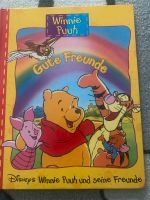 Winnie Puuh Bücher Büchersammlung Baden-Württemberg - Steinen Vorschau