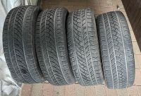 Allwetterreifen 205/55R17 95W Extra Load, Gebraucht. Rheinland-Pfalz - Niersbach Vorschau