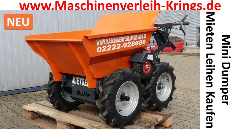 Heckenschere Kettensäge Stihl Freischneider trennschneider Vertik in Erftstadt