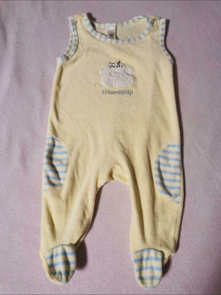 Babykleidung Gr. 74 in Kandel