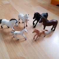 Schleich Pferde Nordrhein-Westfalen - Minden Vorschau