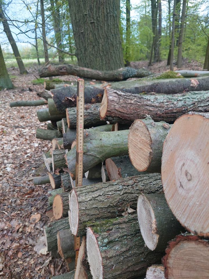 Brennholz Eiche / Buche **Selbstabholung** in Peitz