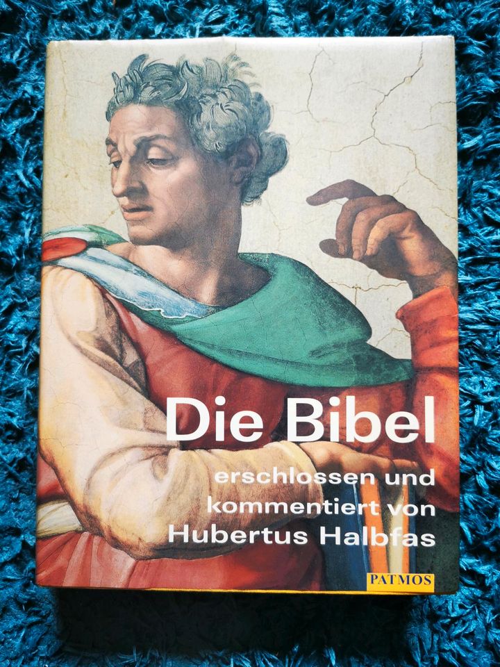 Die Bibel erschlossenen und kommentiert von Hubertus Halbfas in Oranienbaum-Wörlitz