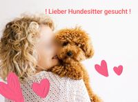 Liebevolle Betreuung für kleinen Hund, Hundesitter gesucht Bayern - Riedenburg Vorschau