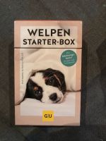 Welpen Starter-Box Nordrhein-Westfalen - Paderborn Vorschau