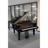 Steinway & Sons Flügel, Modell A-188, Bj. 1901 + Gara + Lieferung Thüringen - Jena Vorschau