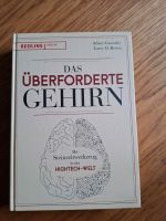 Das überforderte Gehirn A. Gazzaley Frankfurt am Main - Niederursel Vorschau