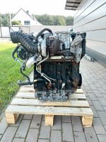 M9R C 830 Motor Nissan,Opel,Renault Brandenburg - Blankenfelde-Mahlow Vorschau