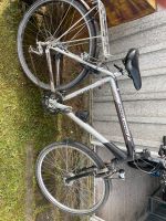 Fahrrad in grau-schwarz Mecklenburg-Vorpommern - Weitenhagen b Greifswald Vorschau