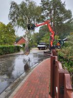 Baumfällung,Forstmulcher, Lohnarbeit, Holzspalten, Baufeldrodung Niedersachsen - Brackel Vorschau