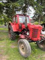 Belarus MTS 50 Rundhauber, DDR Traktor Thüringen - Worbis Vorschau