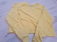 Champion Pullover in Gr. M in Gelb Hessen - Rosenthal Vorschau