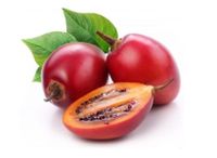 Tamarillo Samen - "Solanum betaceum" - 30, 50 oder 100 Samen Niedersachsen - Wildeshausen Vorschau