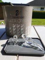 Seehund  groß und klein von Swarovski Niedersachsen - Munster Vorschau