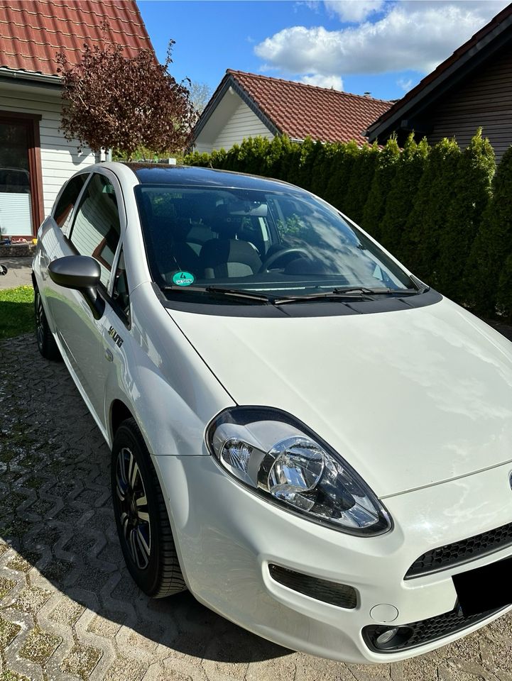 Fiat Punto Young 1.4 8V Start&Stopp in Schwerin