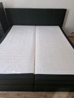 Boxspringbett mit Kasten Elberfeld - Elberfeld-West Vorschau