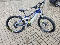 E-Bike mieten statt kaufen Haibike Fully Saarland - Lebach Vorschau