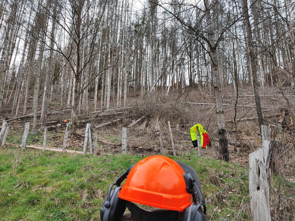 Holz sägen/spalten in Korbach