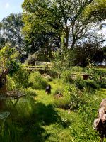 Gartenbeteiligung Bochum - Bochum-Ost Vorschau