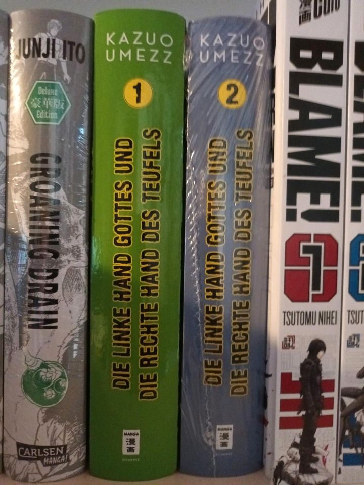 Manga Sammlung in Schotten