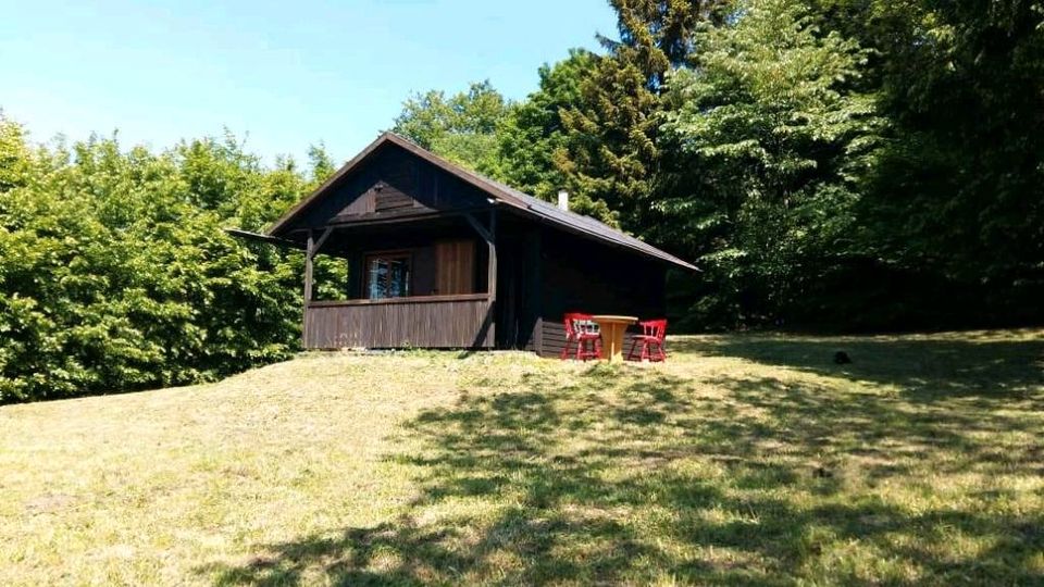 Hütte Ferienhaus Auszeit im Herzen Biosphärenreservat Rhön in Ehrenberg (Rhön)