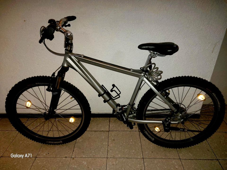 CUSTOM BIKE - MTB 26 ZOLL grau in Metzingen