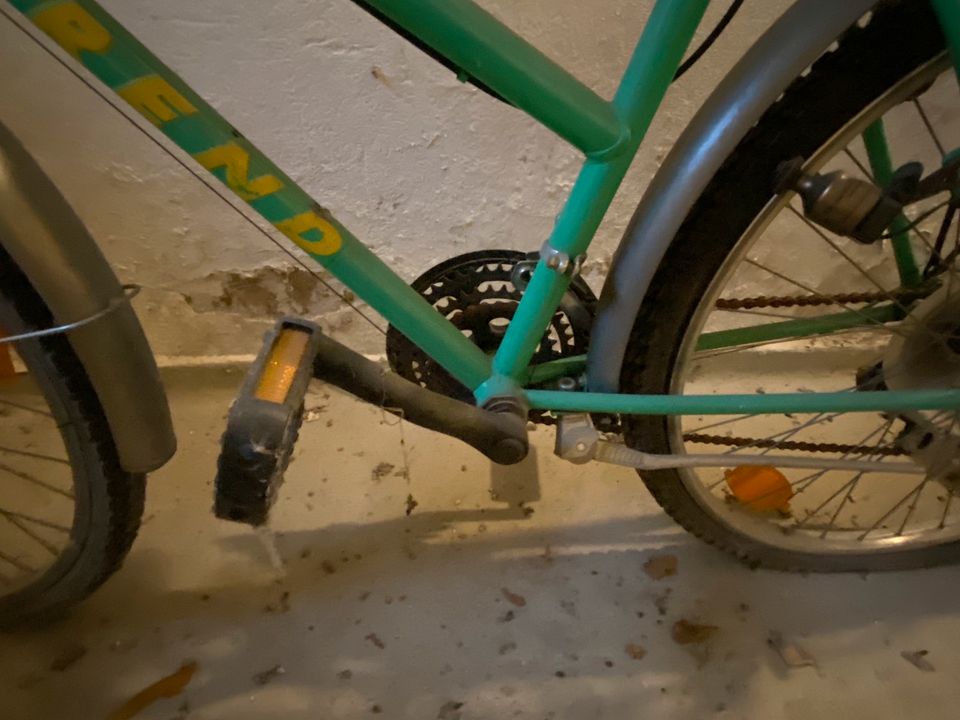 Shimano Trend TY20 Grün Fahrrad mit Gangschaltung Gepäckträger in Berlin