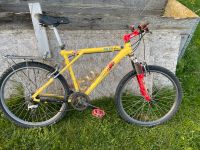 GT Zaskar LE Mountainbike Klassiker Rarität Vintage Nordfriesland - Uphusum Vorschau