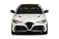 Alfa Romeo Giulia GTAm 1:18 Otto GT-Spirit BBR Spark AUTOart IVY Thüringen - Nordhausen Vorschau