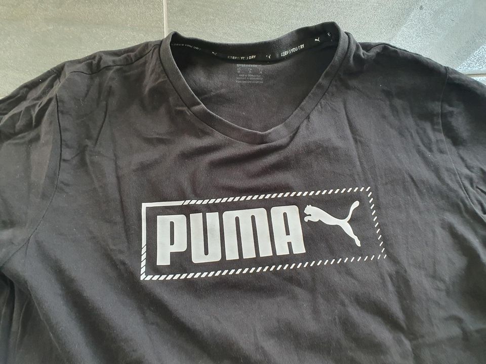 2 Herren T Shirts von Puma Gr. 48 / 50 Gr.  M Shirt in Braunschweig