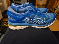 Asics Gel Kayano Gr. 39,5 Altona - Hamburg Lurup Vorschau