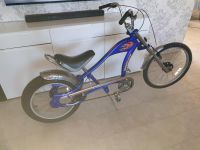 Chopper Fahrrad 24 Zoll Niedersachsen - Seevetal Vorschau