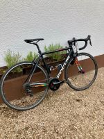 Rennrad - Focus Izalco Race al 105 Nordrhein-Westfalen - Bad Honnef Vorschau