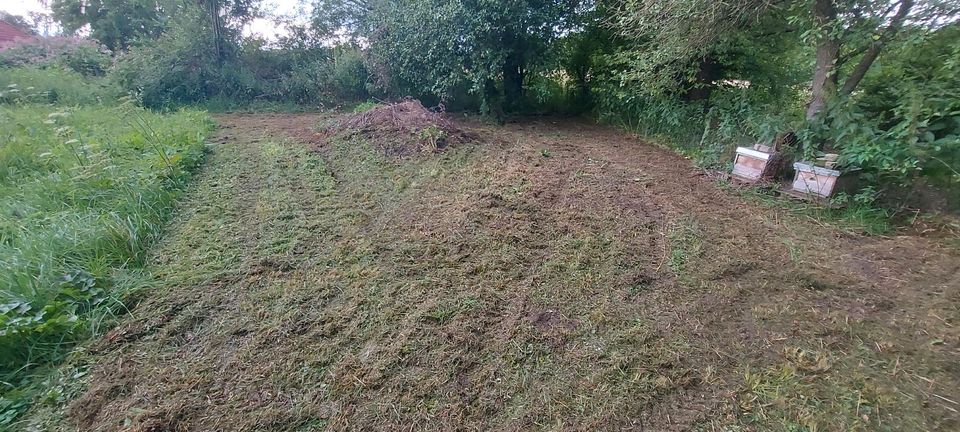 Hochgrasmäher mieten Wiesenmäher Schlegelmulcher kein Balkenmäher in Fridolfing