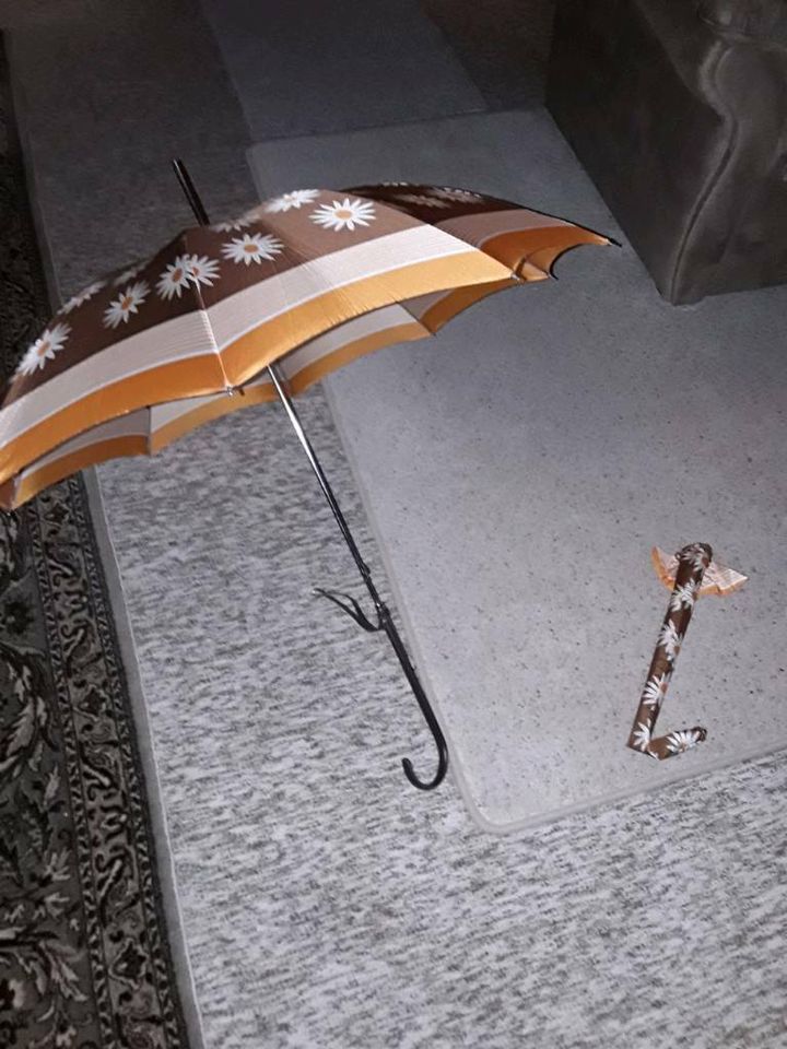 Damen Reto-Regenschrim zu verkaufen in Barendorf