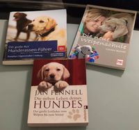 Hunde Bücher Fachbücher Welpenschule Hunderassen Erziehung Set Dresden - Bühlau/Weißer Hirsch Vorschau