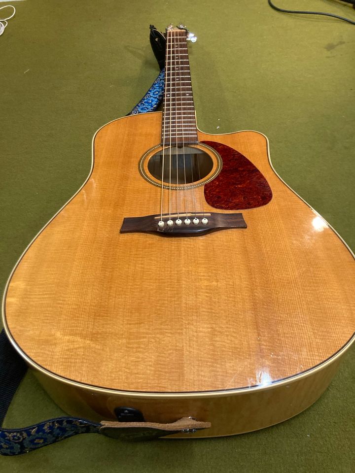 Seagull Performer Flame Maple QIT in Dortmund
