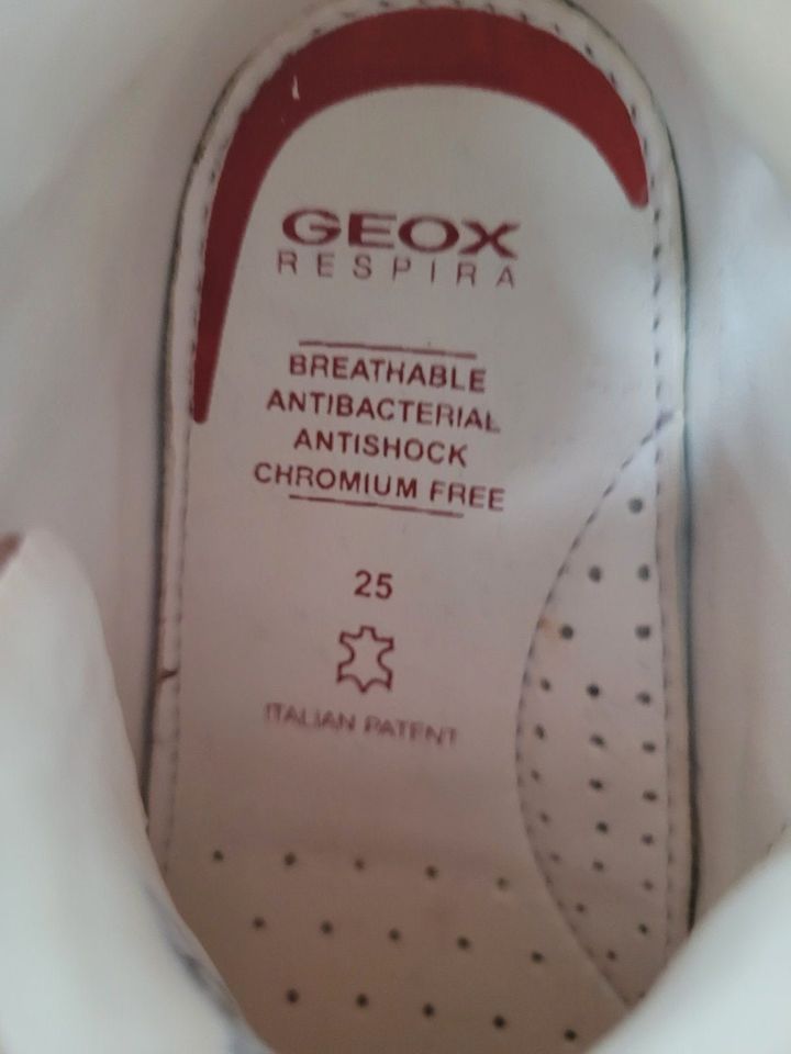 "GEOX" respira, Ki. Schuhe,Gr.25,Leder, Junge,Klettv.,neuwertig in Friedrichsdorf